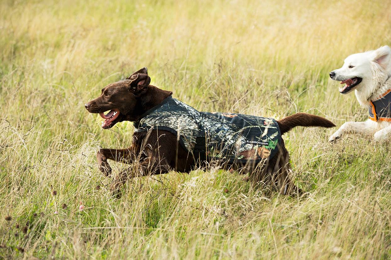 Rambo Camouflage Dog Rug