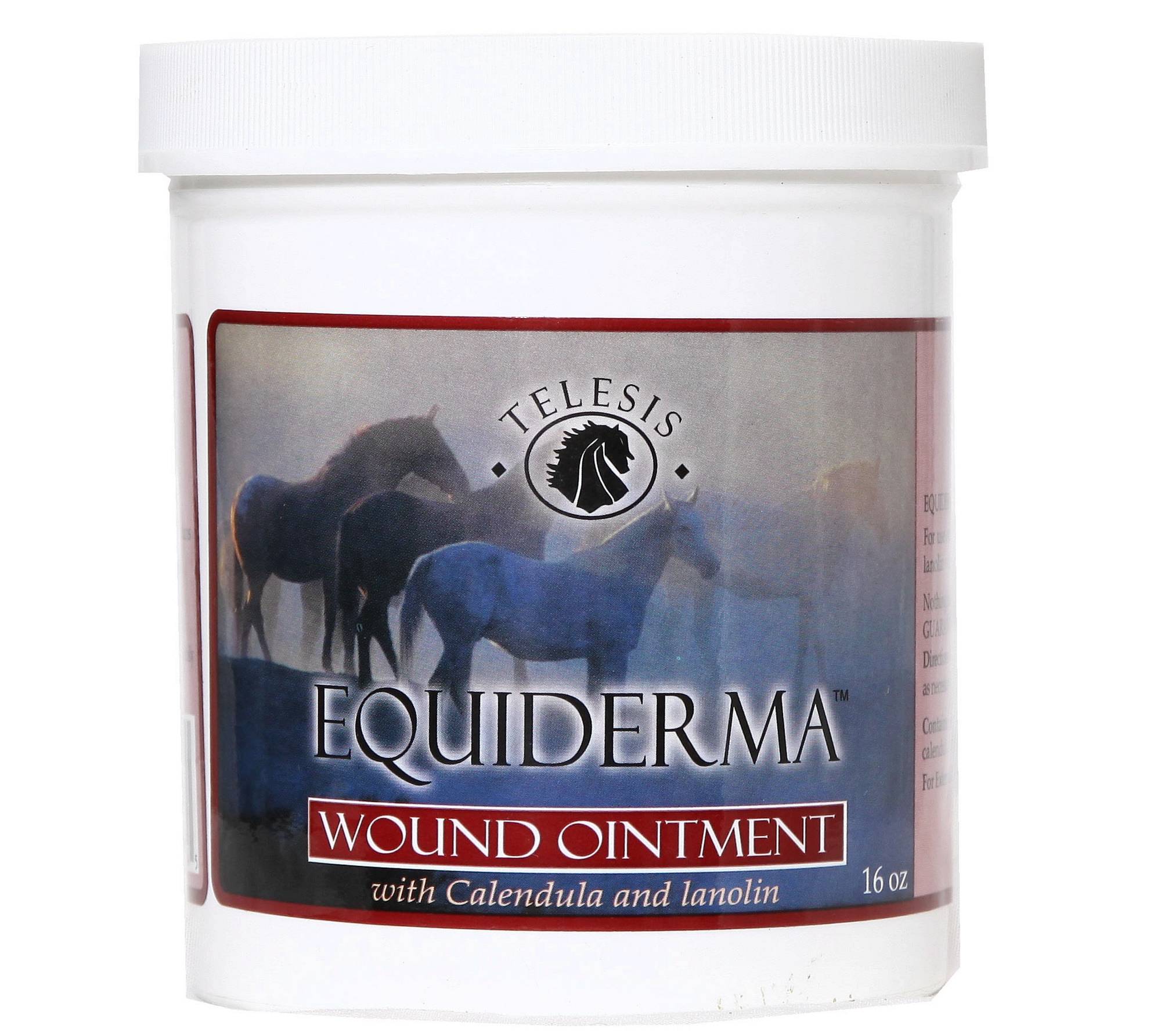 Equiderma Wound Ointment