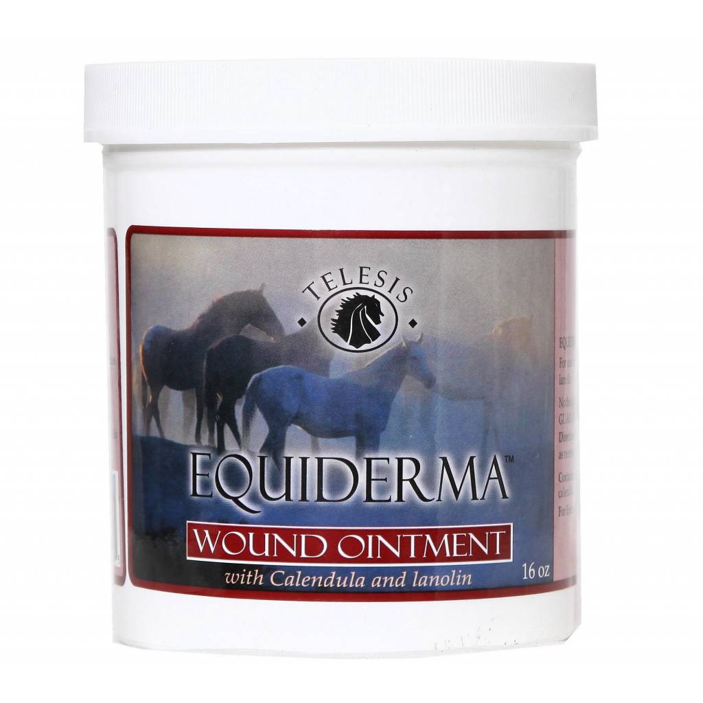 Equiderma Wound Ointment