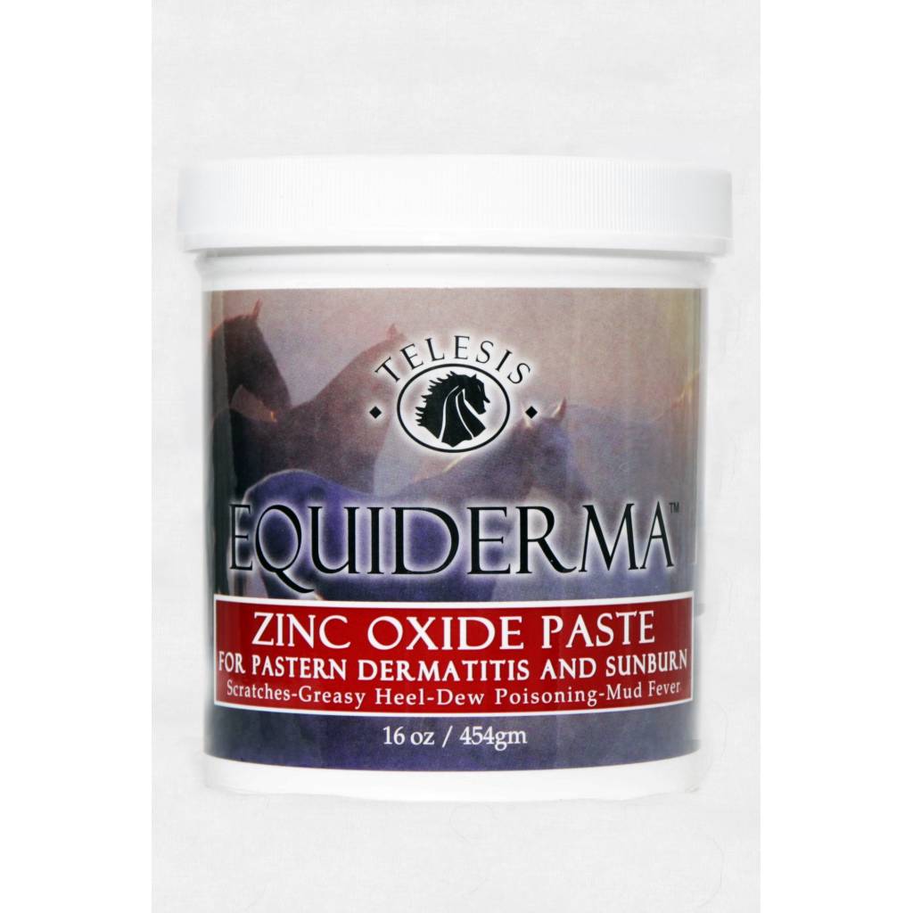 Equiderma Zinc Paste