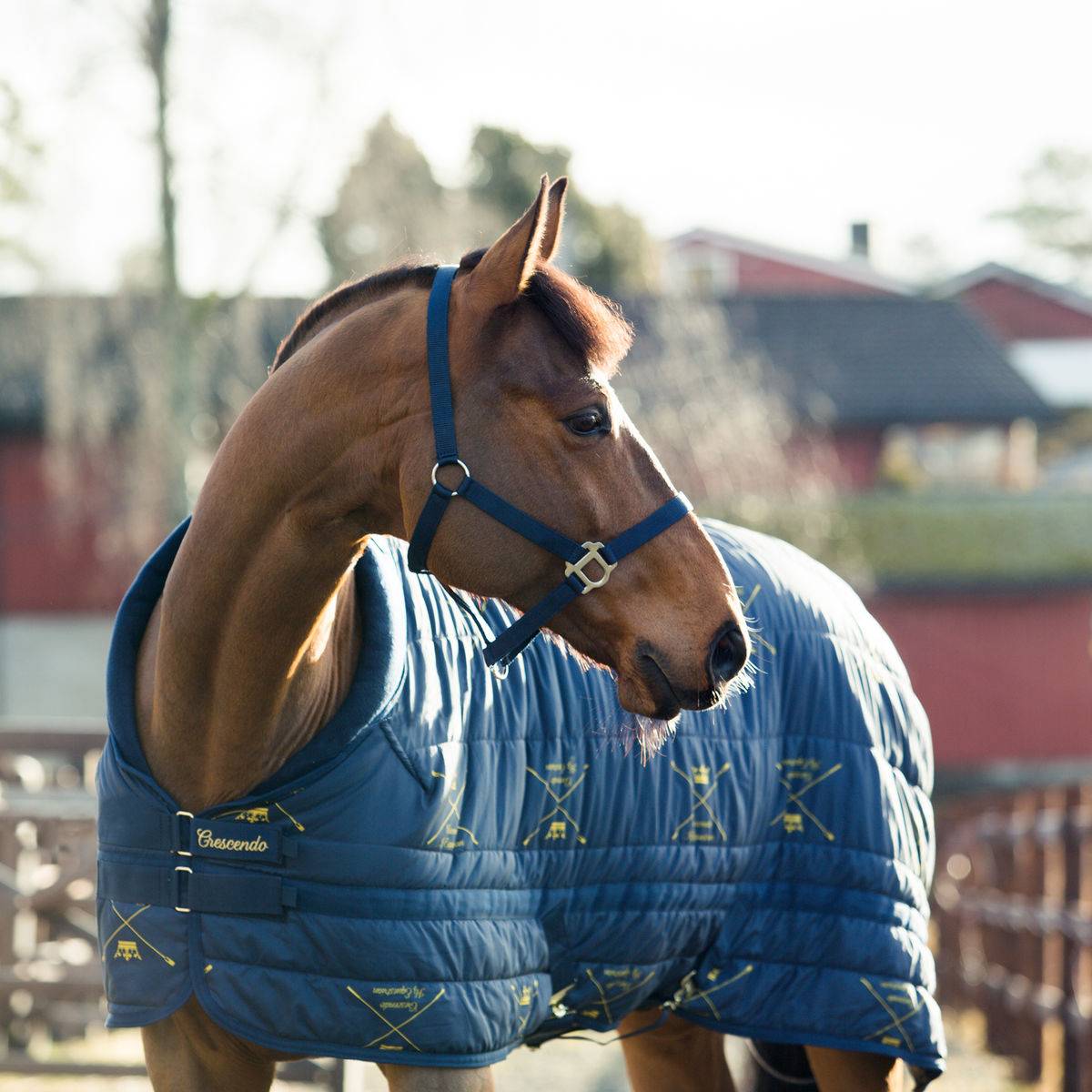 350g, Horze Crescendo Holbrook Stable Blanket