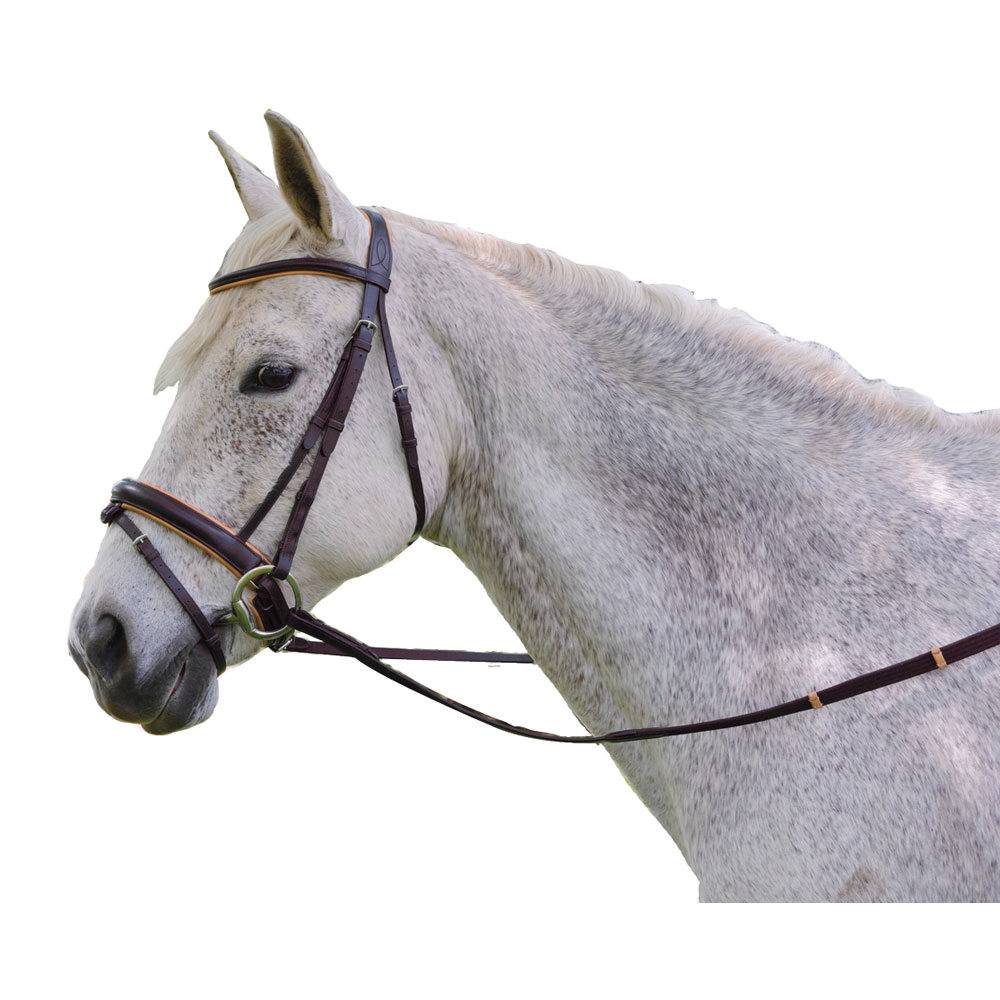 Exselle Elite Plain Raised Padded Bridle with Extra Brow