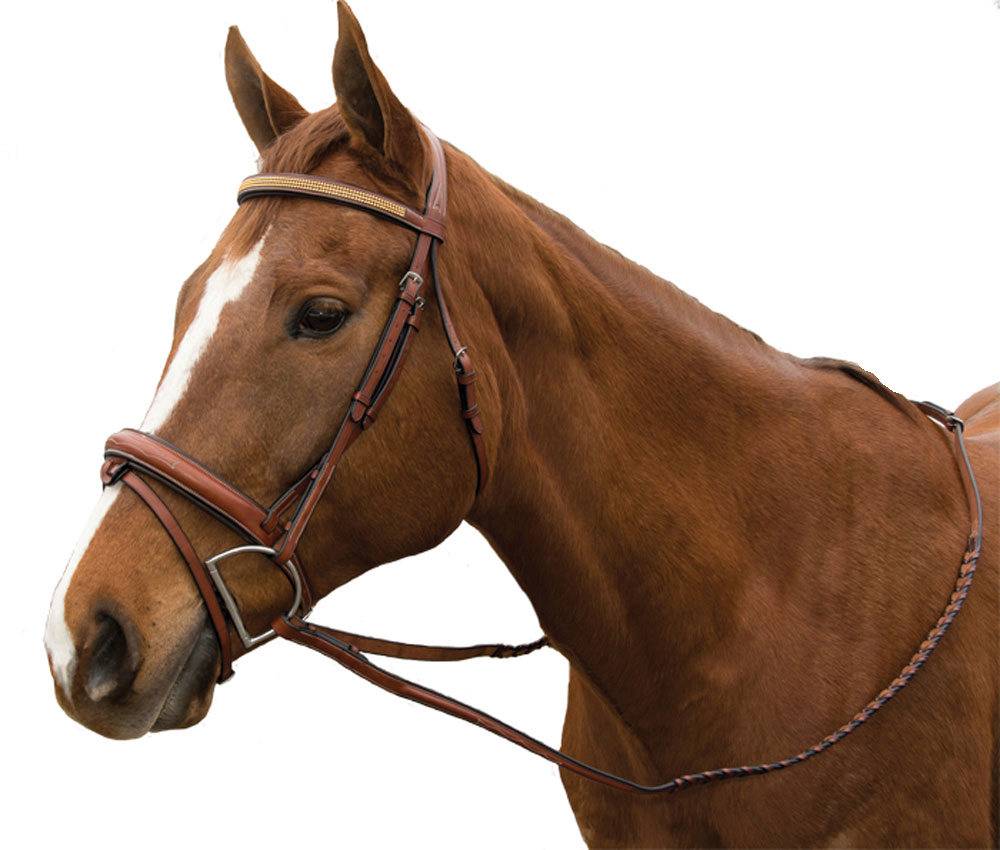 Exselle Elite Raised Fancy Stitched Bridle with Extra Brow