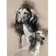 Sally Mitchell Fine Art Dog Prints - Saluki