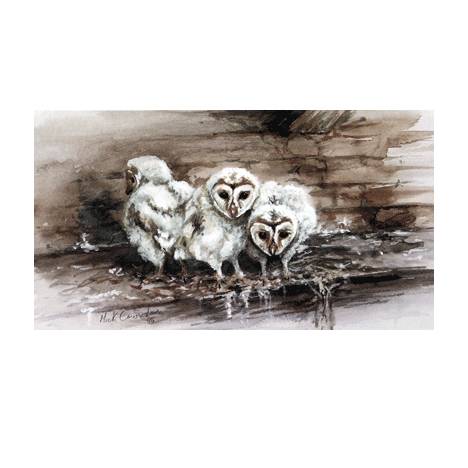 Sally Mitchell Fine Art Wildlife Prints - What Was That (Barn Ow