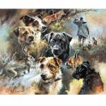 Sally Mitchell Fine Art Dog Prints - Five of the Best