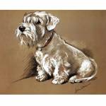 Porter Fine Art Dog Prints - Bundle
