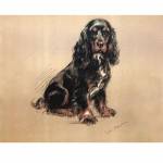 Porter Fine Art Dog Prints | Spaniel