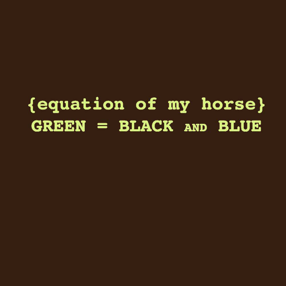 Sound Equine Ladies Equation Of My Horse Tee Shirt