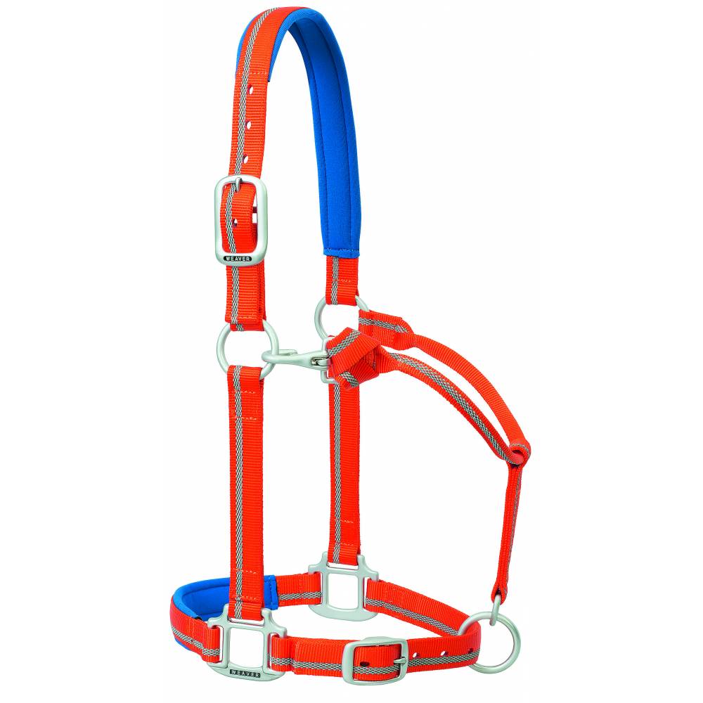 Weaver Nylon Padded Reflective Adjustable Horse Halter HorseLoverZ