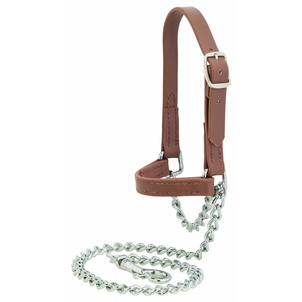 Weaver Adjustable Brahma Webb Goat Show Halter | HorseLoverZ