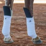 Classic Equine Knee Guard - Pair