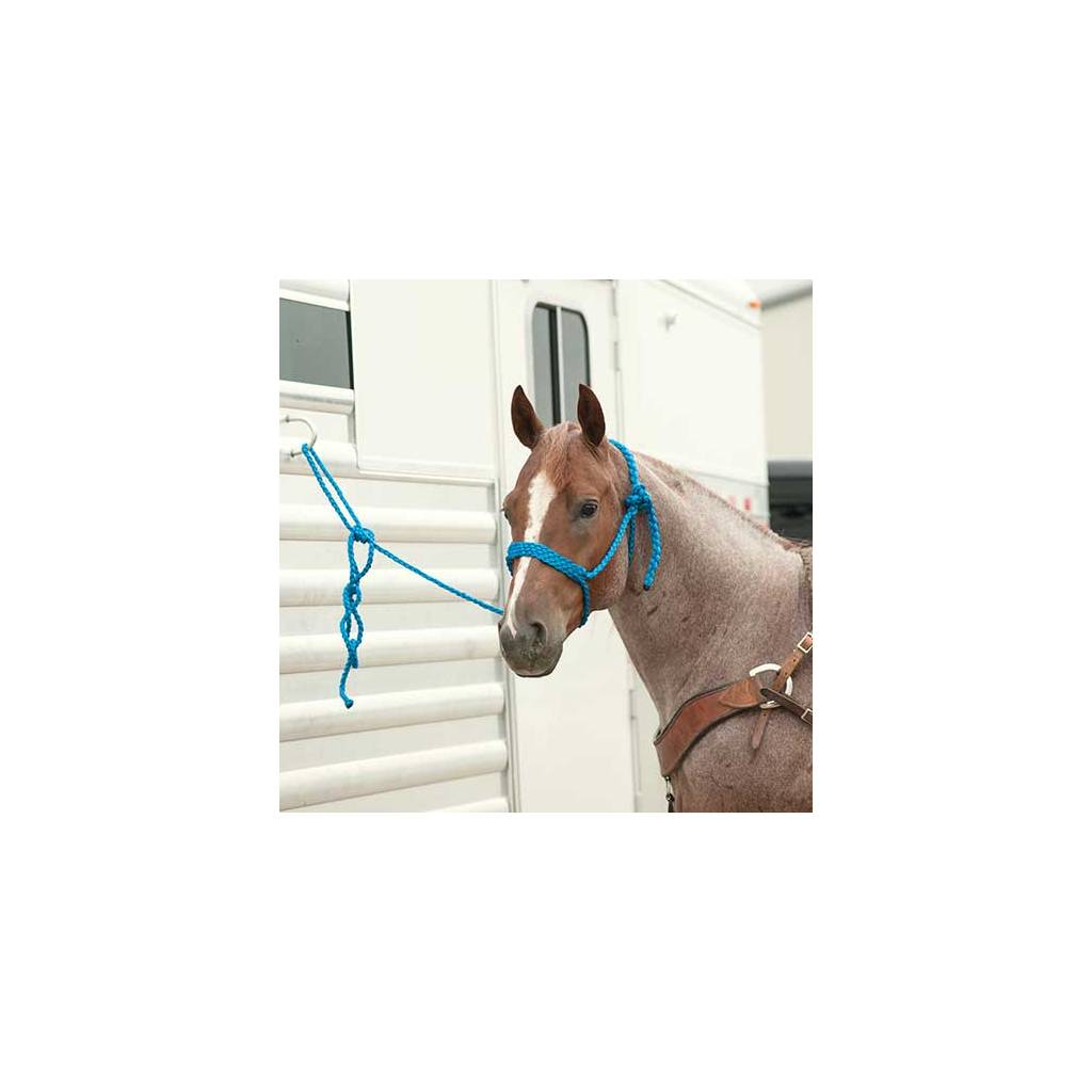 Martin Braided Rope Halter with Lead