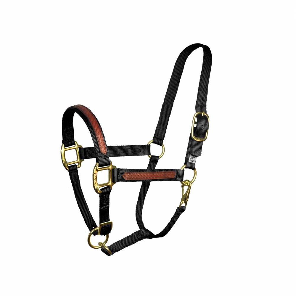 Perri's Nylon Overlay Halter HorseLoverZ
