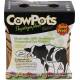 Cowpots - 12 Pots