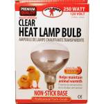 Little Giant Clear Heat Lamp Bulb