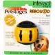 Petstages Rebound Bounce Back Ball Interactive Dog Toy