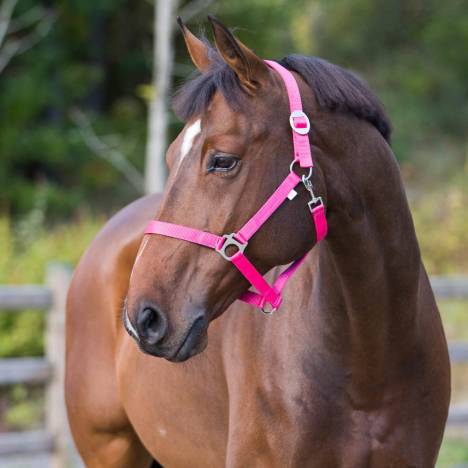 Horze Basic Horse Halter