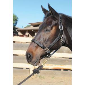Professionals Choice Leather Halter