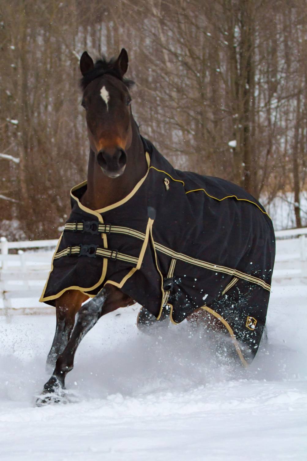 Noble Equestrian 4-in-1 Guardsman Turnout Blanket
