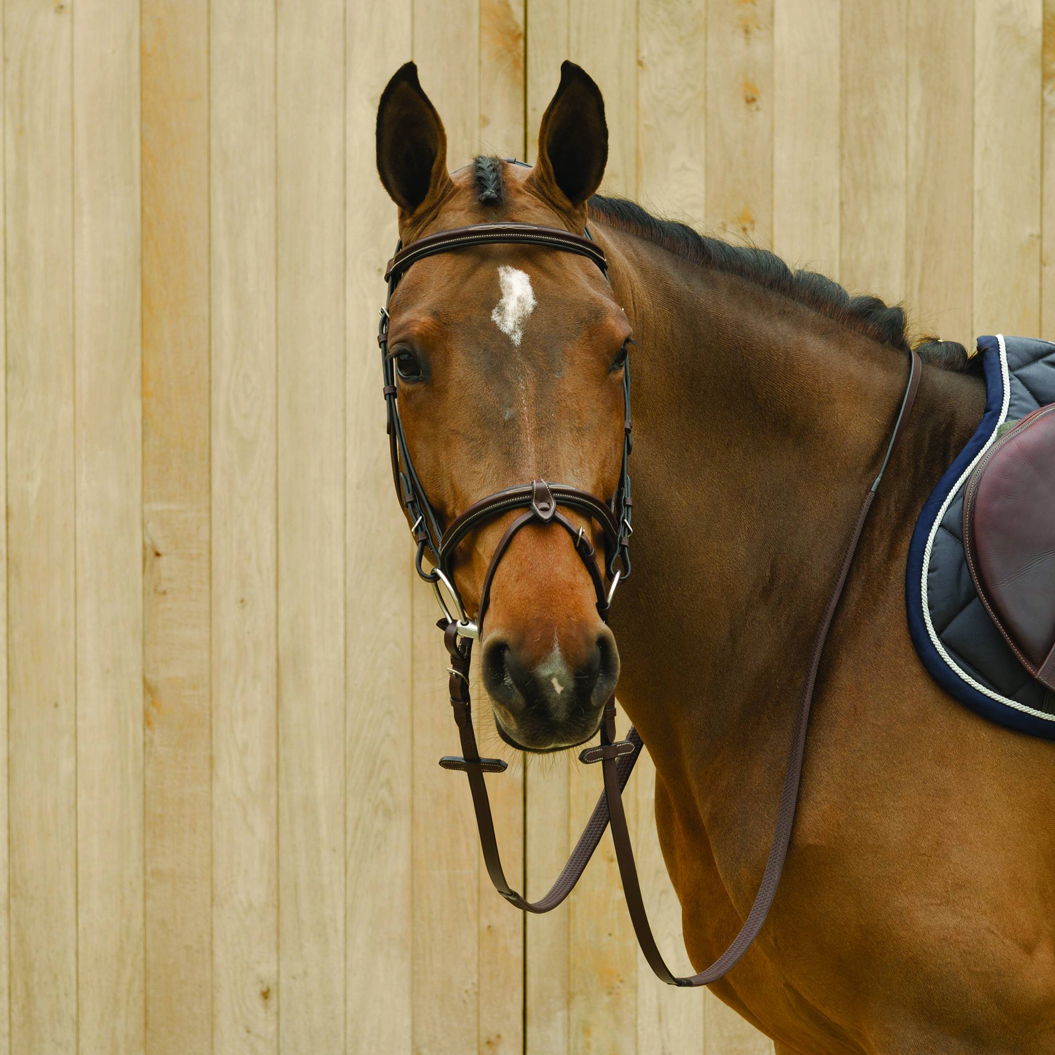 Lami-Cell Classic Bridle