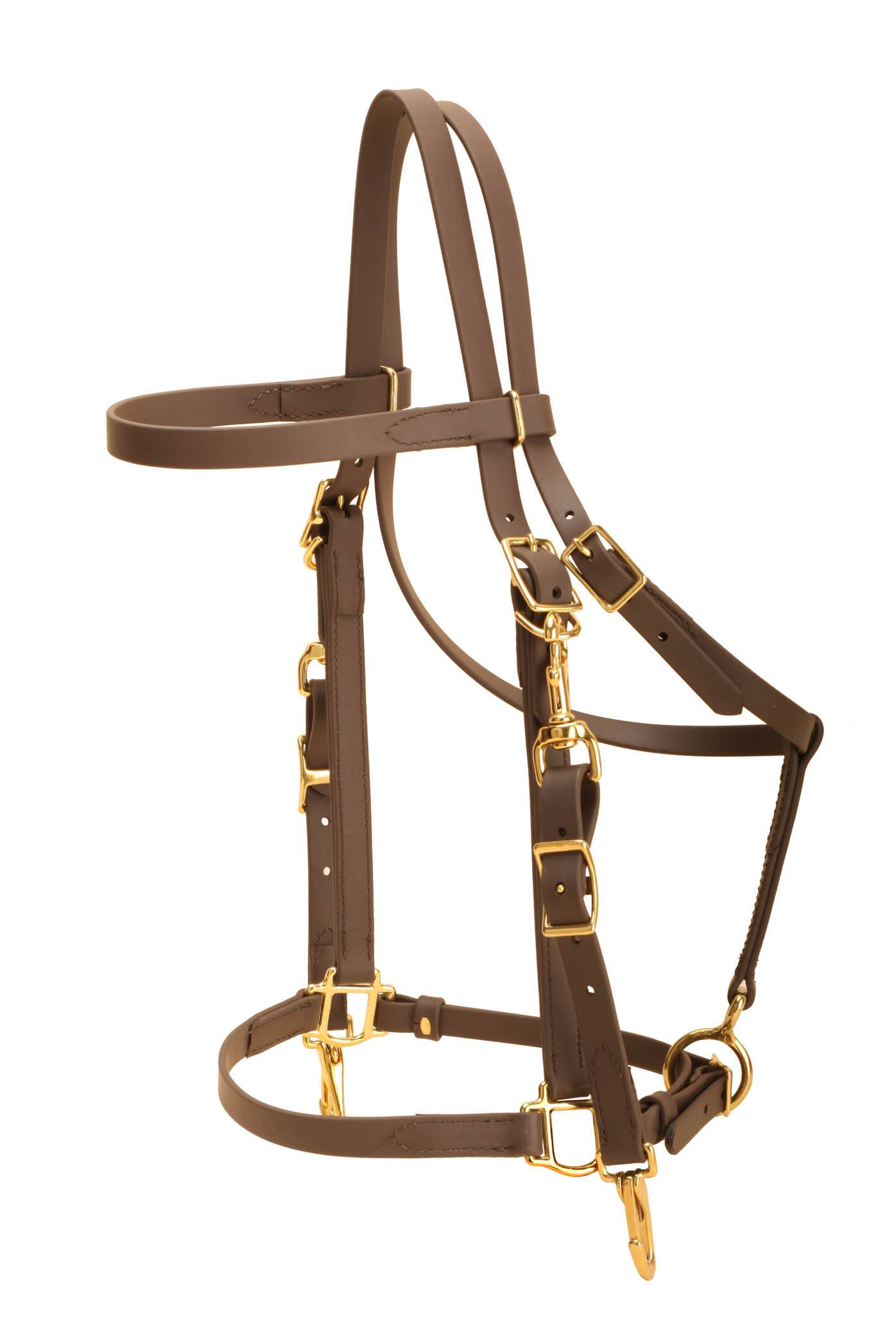 Tory Leather All Weather Combo Bridle