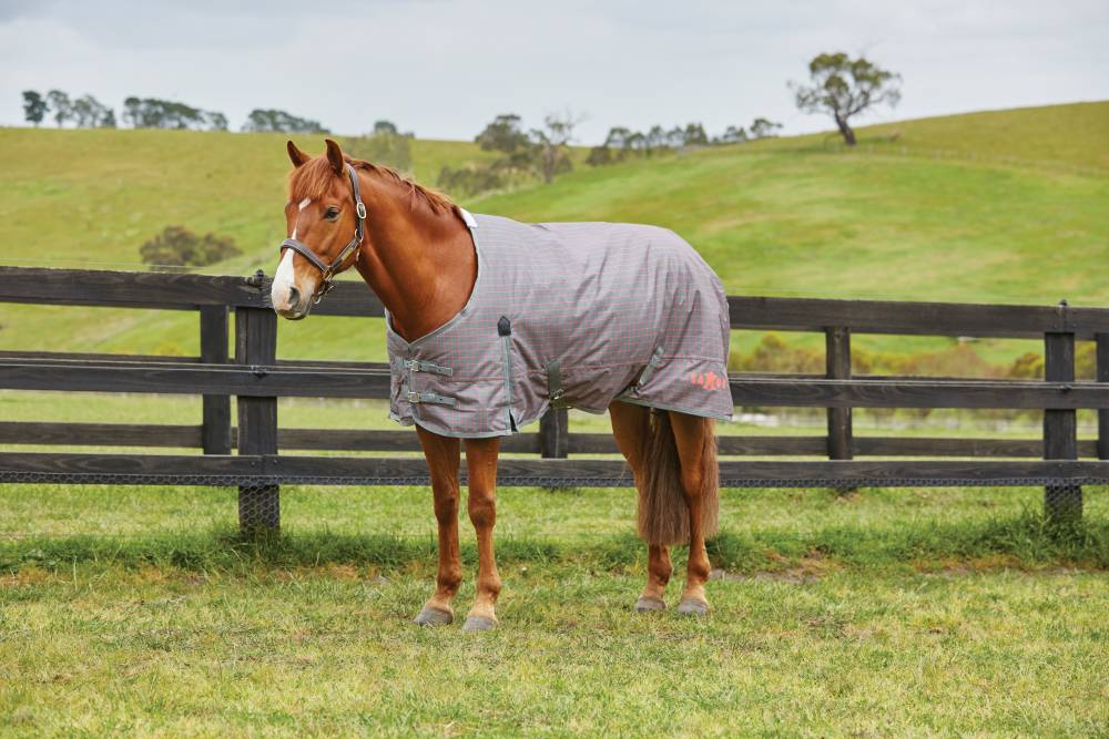Saxon 600D Standard Neck Lite Turnout Blanket With Gusset lI