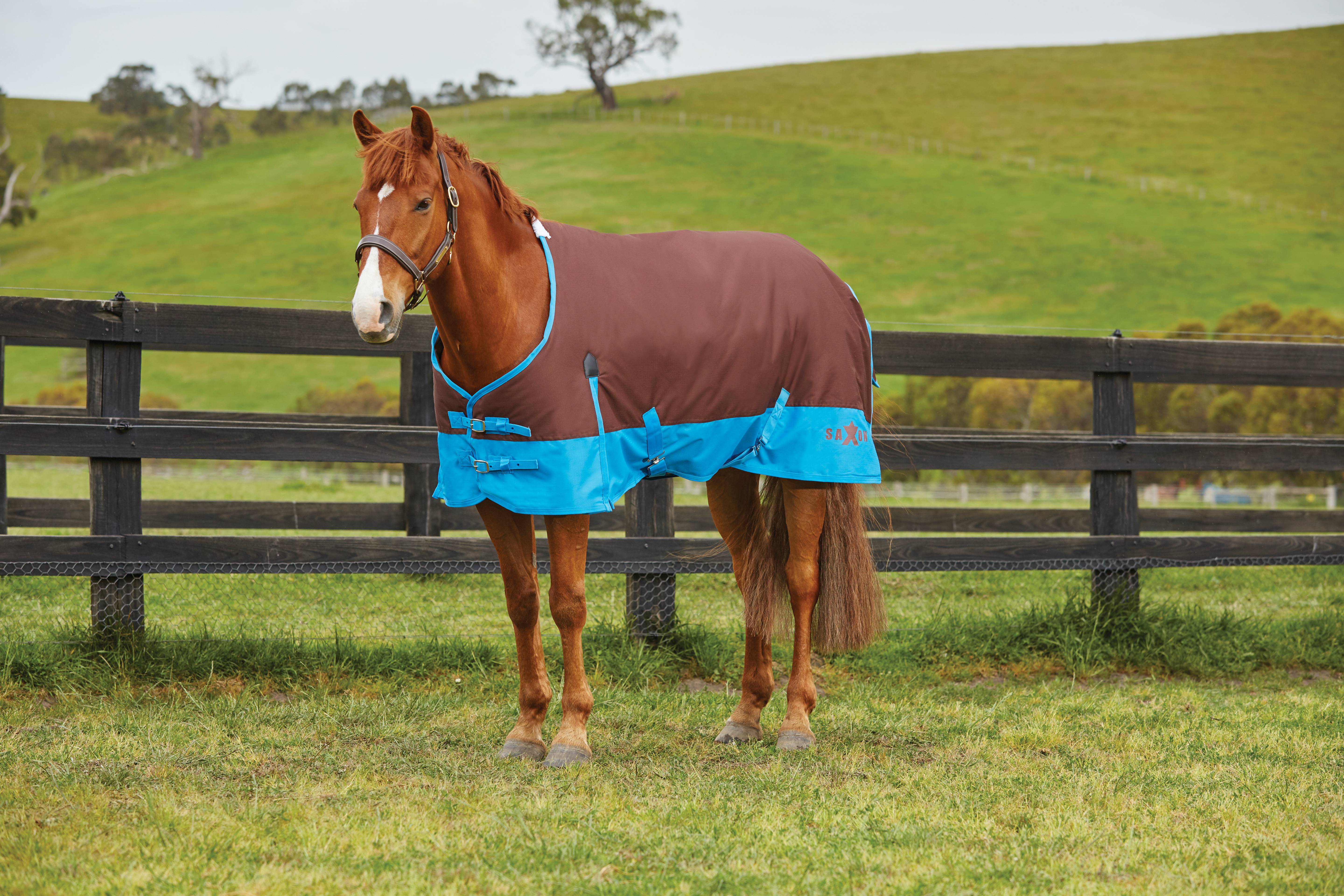 808191 Saxon 600D Standard Neck Lite Turnout Blanket With