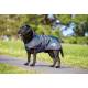 Weatherbeeta Windbreaker 420D Deluxe Dog Coat - Black/Boysenberry
