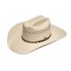Ariat Mens 20X SS/Ss Rectangle Diamond Concho Band Western Hat