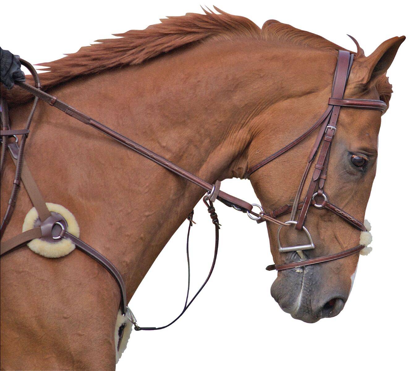 M. Toulouse 5 Point Breastplate With Running Martingale Attachment
