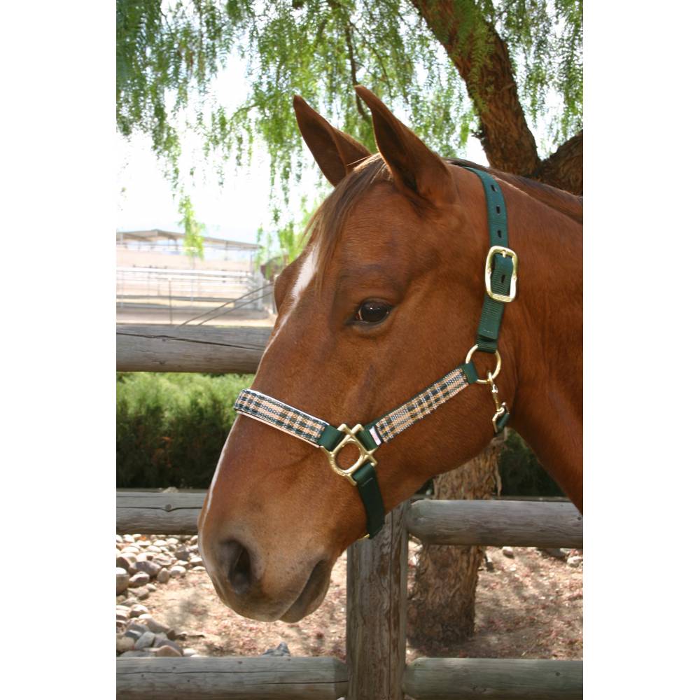 Kensington Premium Halter HorseLoverZ
