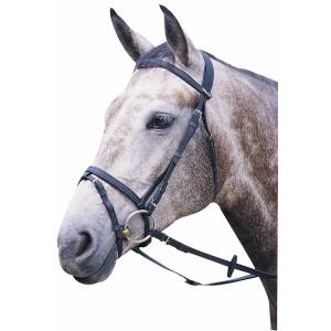 Wintec Bridle with Flash