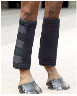 Shires Replacement Ice Pack For Relief Boots