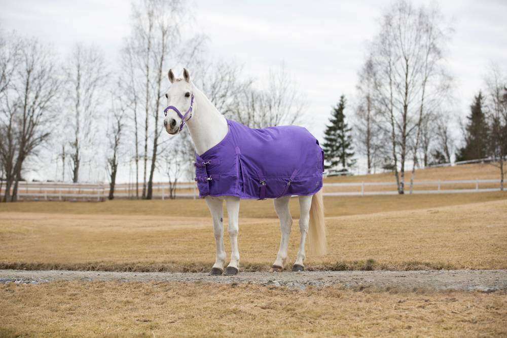 Horze Pony Winter Rain Blanket HorseLoverZ