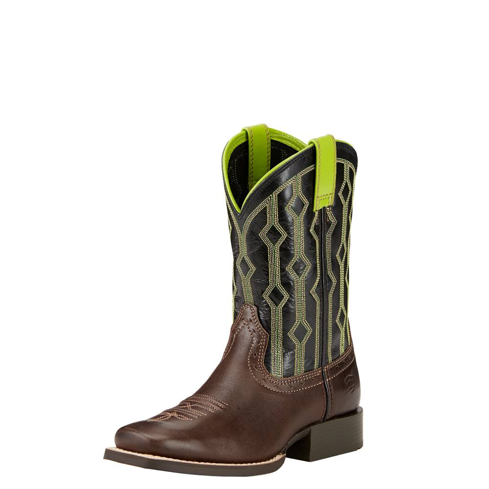 ariat chocolate polish