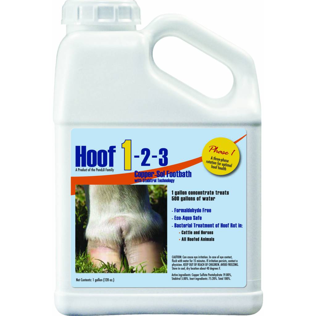 Hoofvet 1 Copper Conc