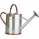 Galvenized Watering Can