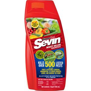 Sevin Insect Killer Concentrate