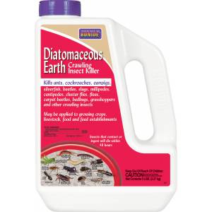Diatomaceous Earth Jug