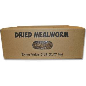 Mealworms To Go Dried Mealworms