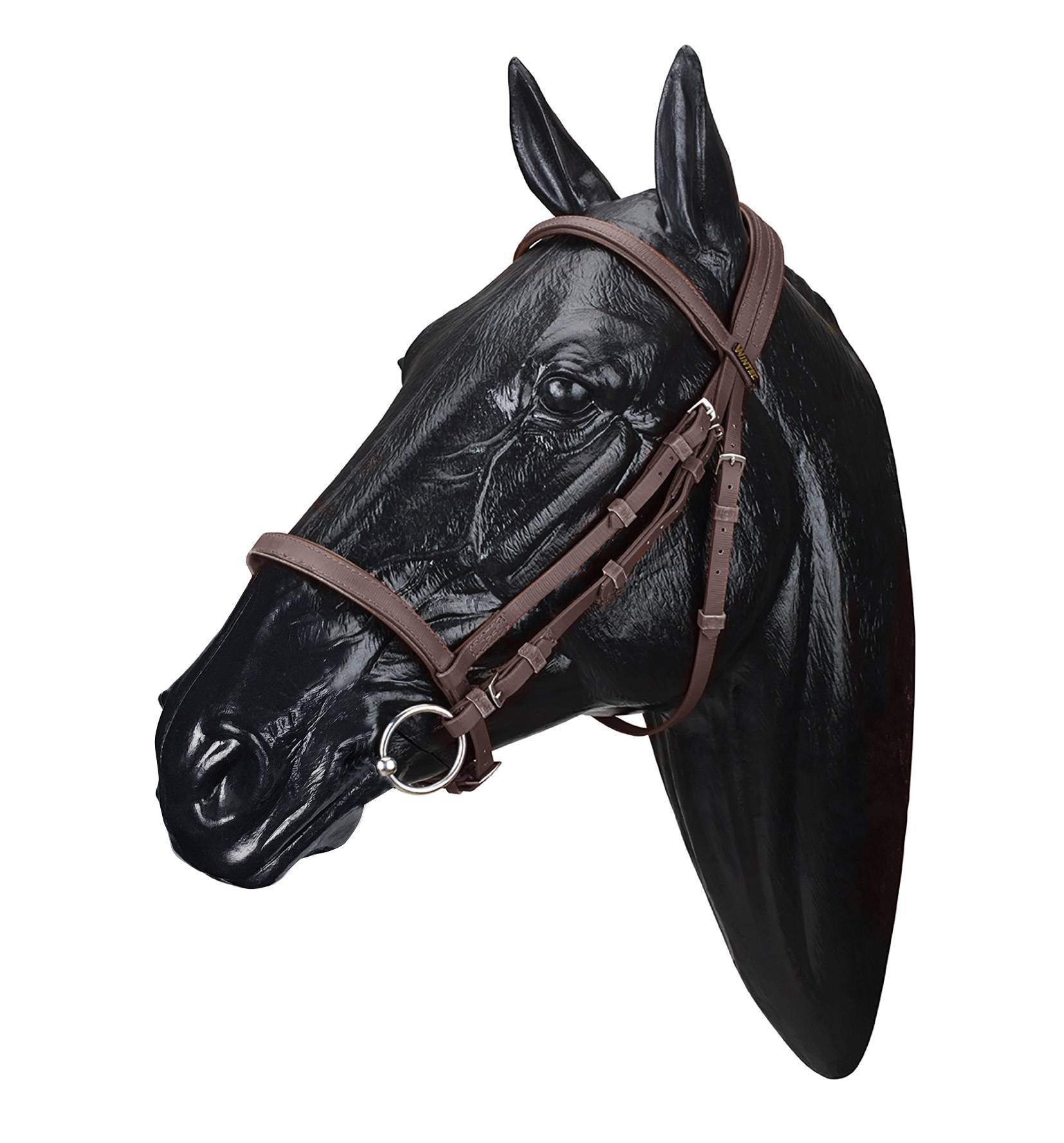 Wintec Bridle