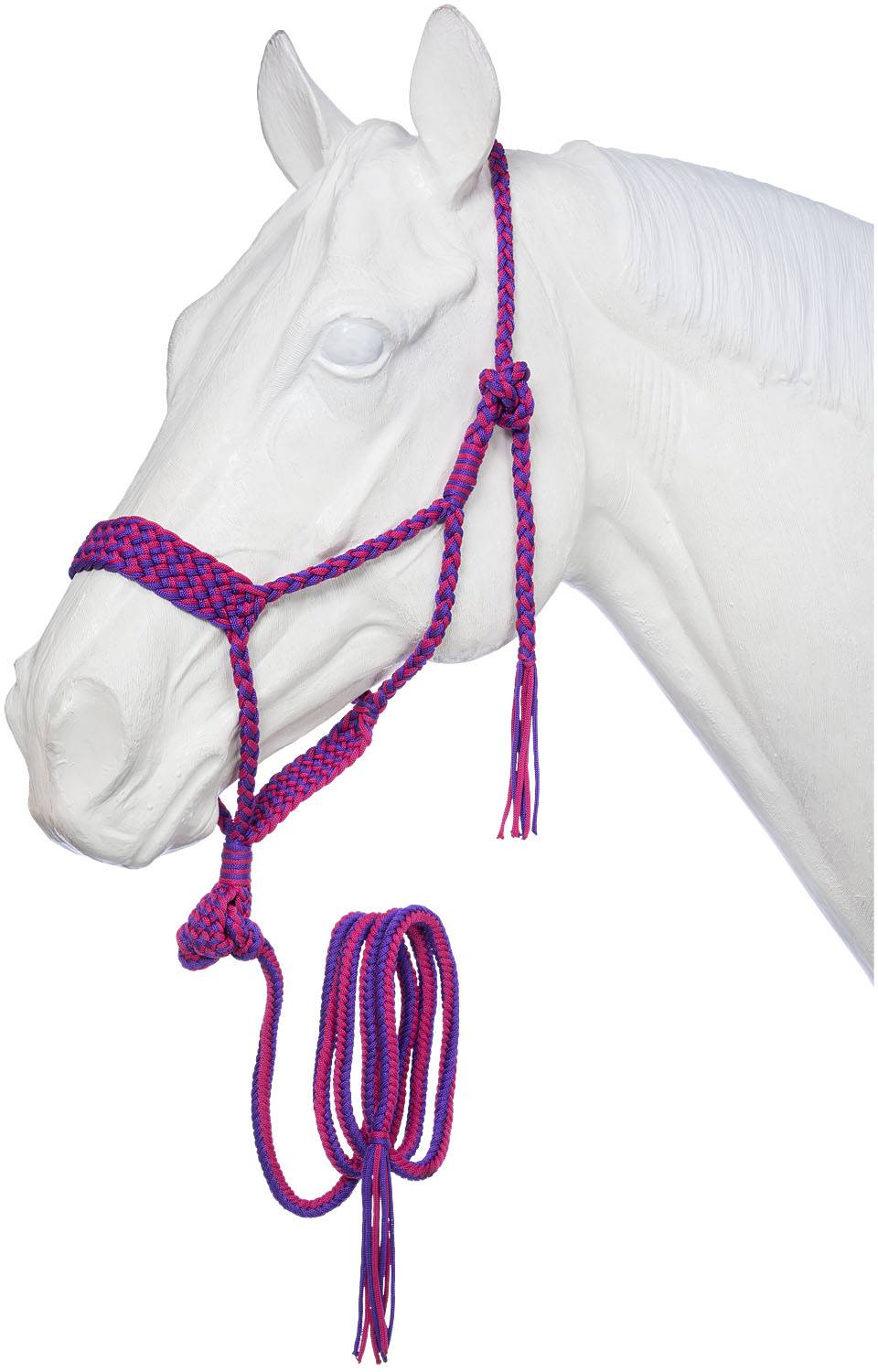 Violet/ Pink Mule Tape Halter with Matching Lead