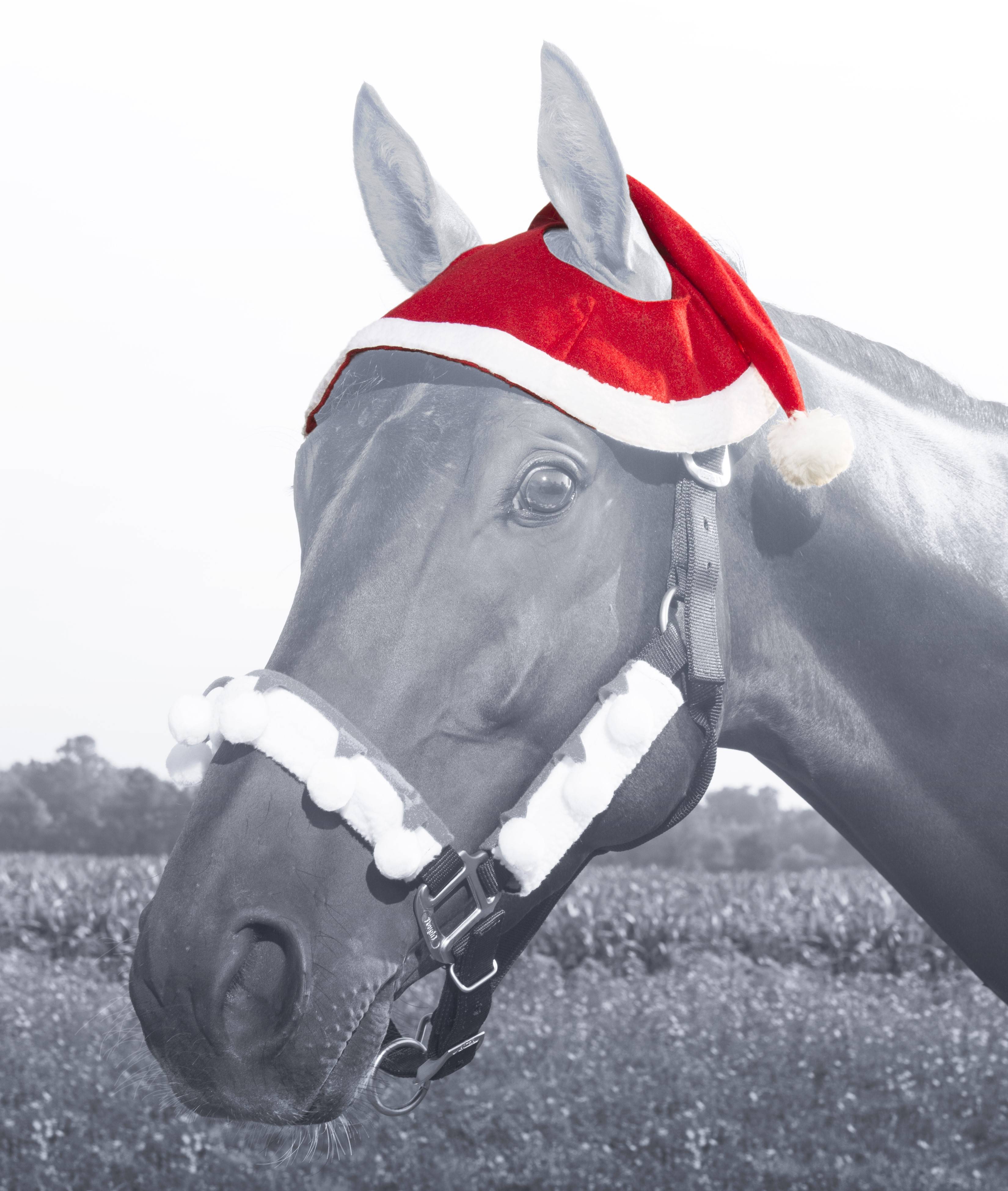 Santa Two Ear Horse Hat from Tough-1