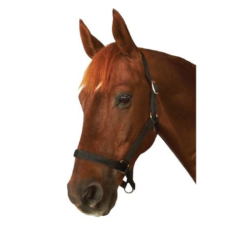 Roma Everyday Headcollar