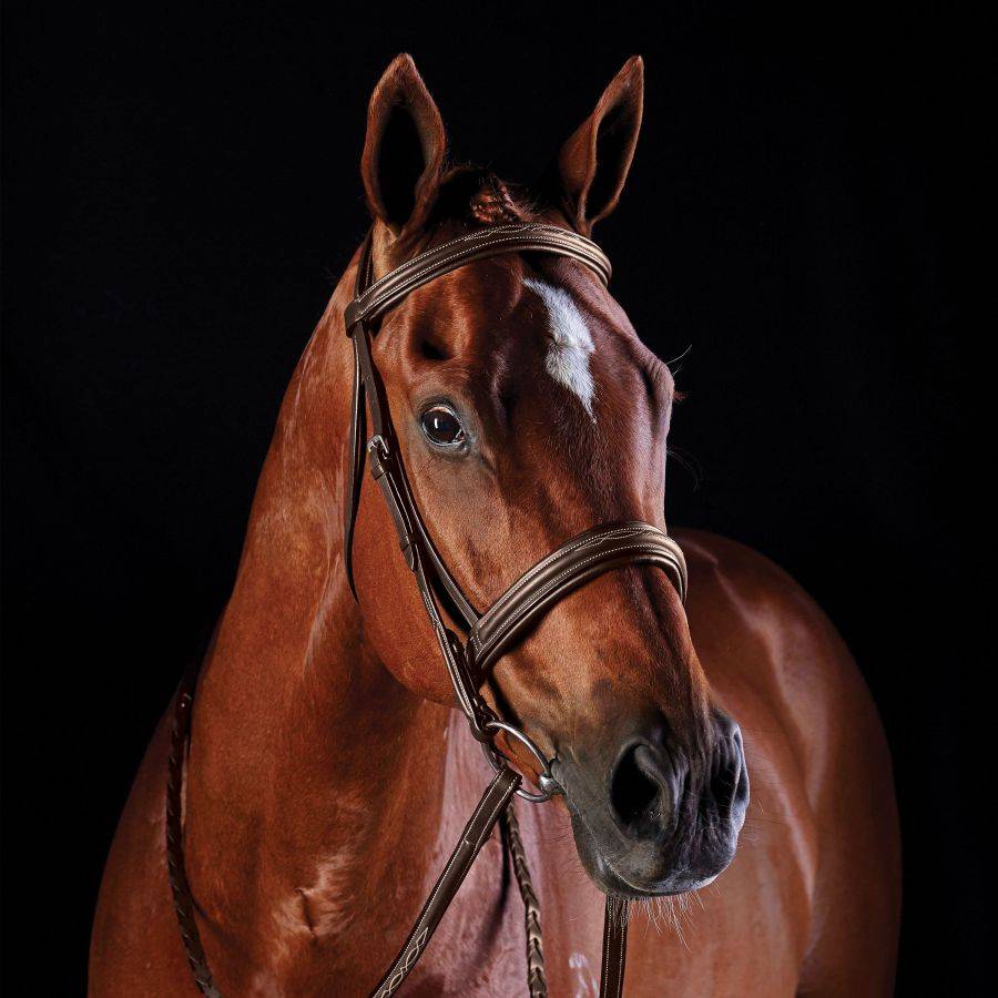 Collegiate Comfort Crown Fancy Stitched Raised Cavesson Bridle