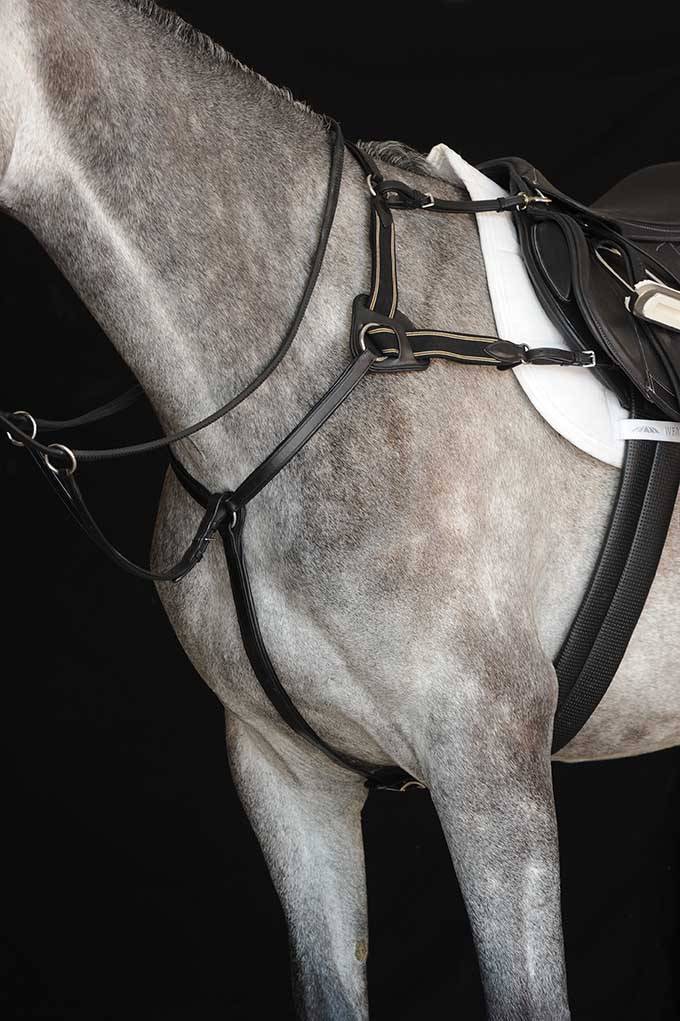 Collegiate 5-Point Breastplate IV