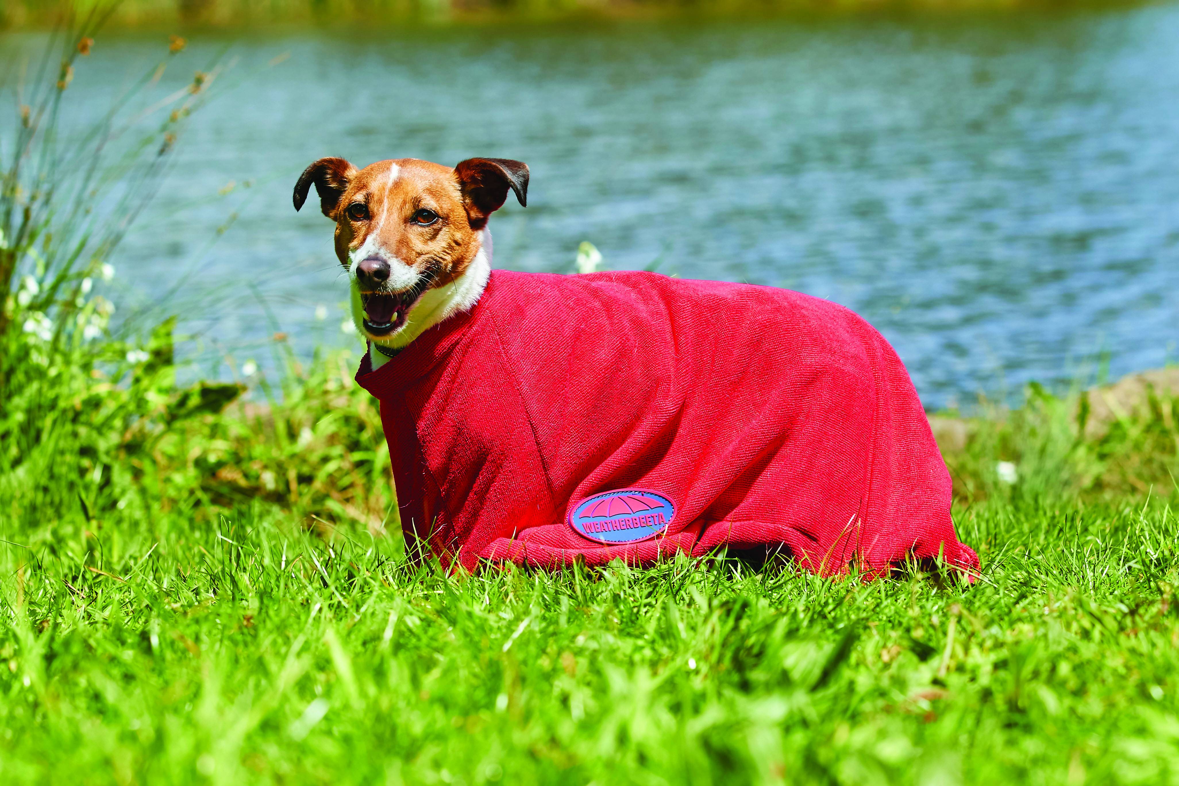 weatherbeeta dry dog bag