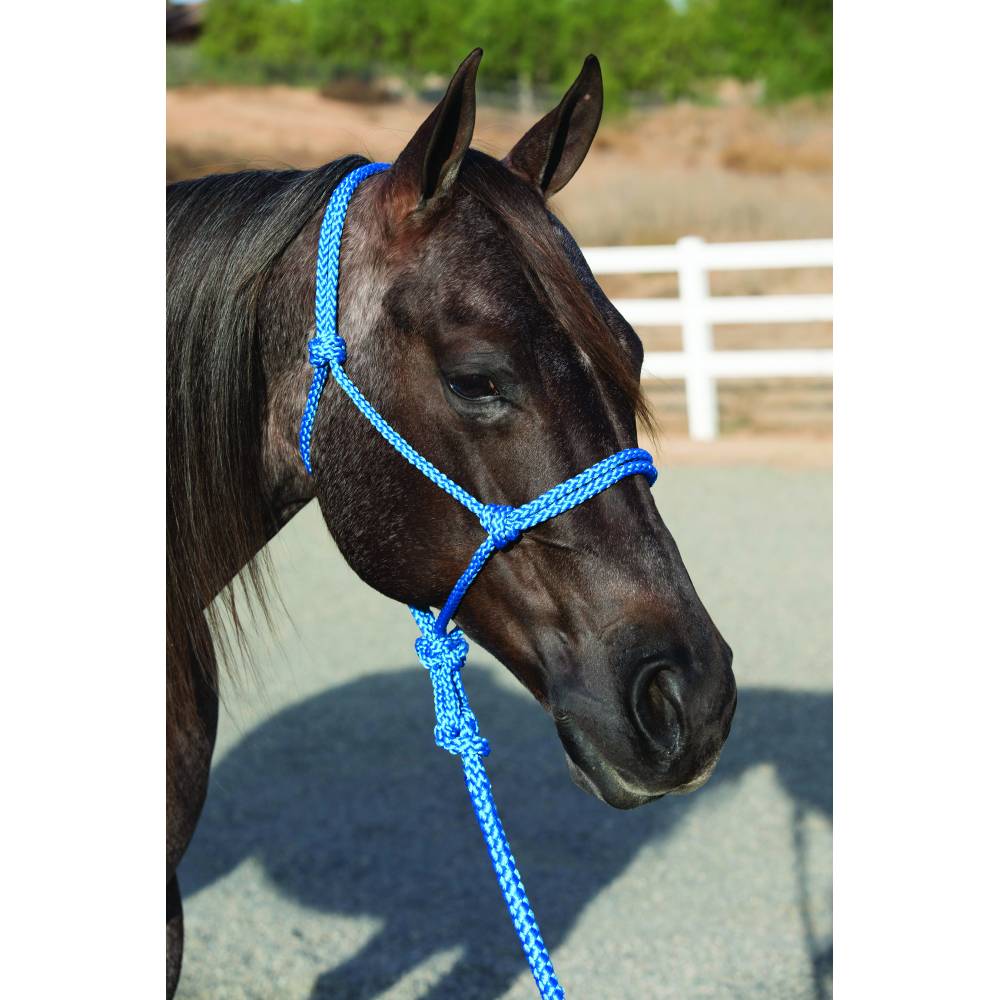 Professional's Choice Ranch Hand Halter & Lead HorseLoverZ
