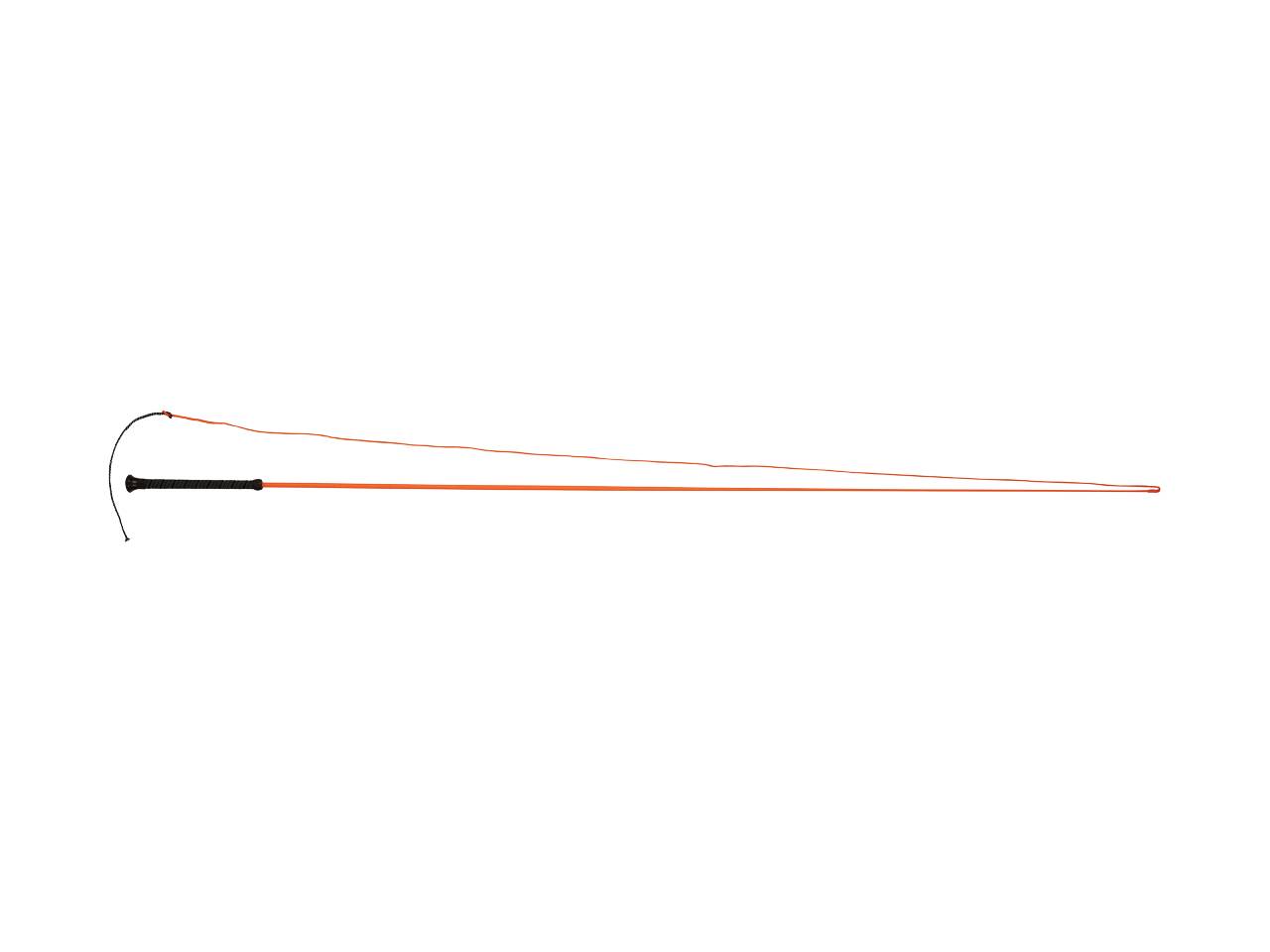 Dublin Brights Lunge Whip